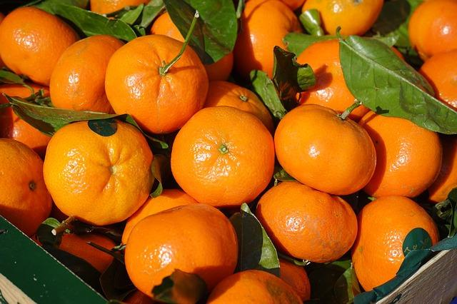 龙岗农产品配送讲解橘子营养价值