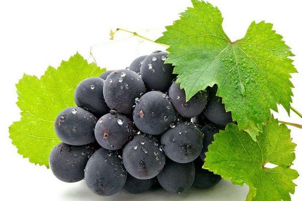 龙岗农产品配送分享几种清洗葡萄的方法