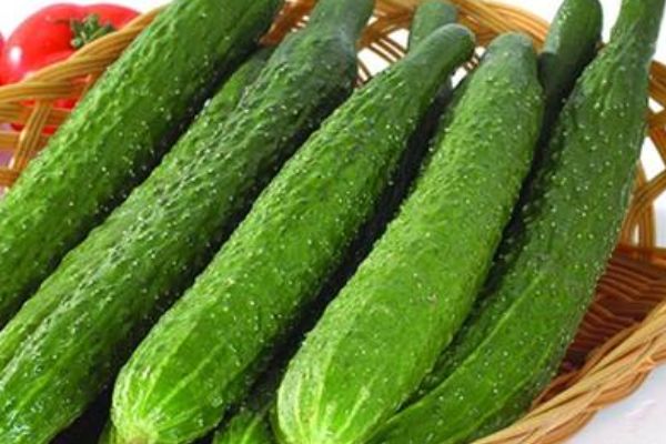 宝安蔬菜配送分享黄瓜的营养价值