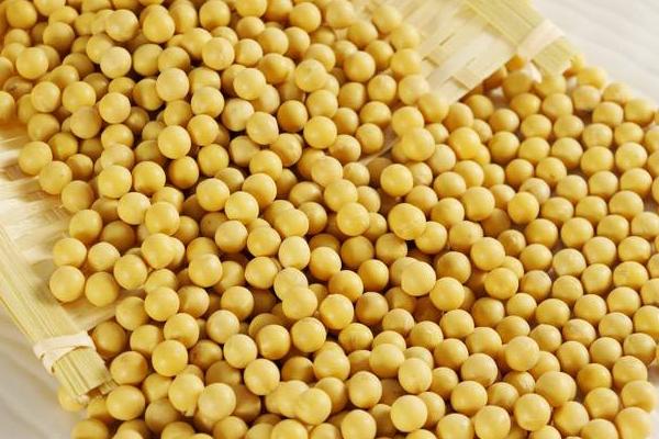 龙岗农产品配送带你了解黄豆的功效与作用有哪些
