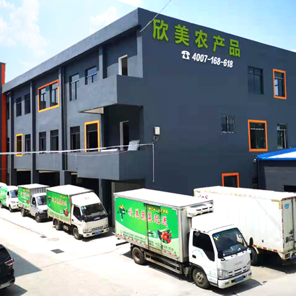 龙岗蔬菜配送分析不同类型的蔬菜配送公司区别在哪里