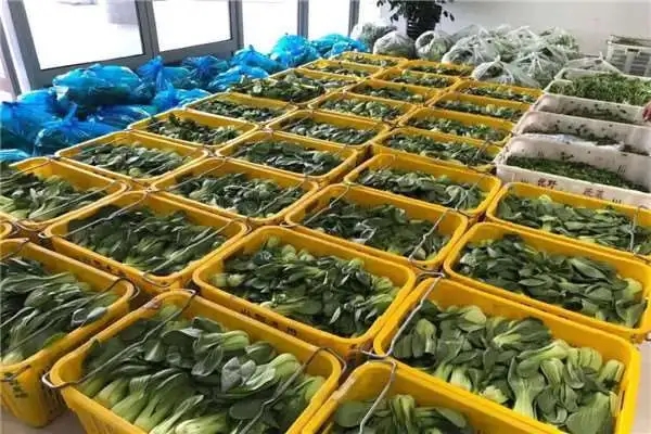 深圳食堂食材配送告诉你如何打开蔬菜配送这个行业的市场?