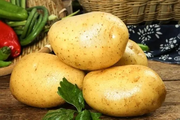 龙岗食材配送简述土豆怎么样保存才能不发芽