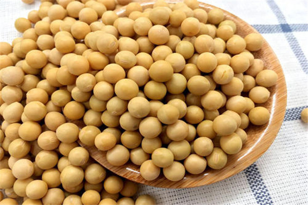 龙岗蔬菜配送公司简述大豆的营养价值和功效与作用