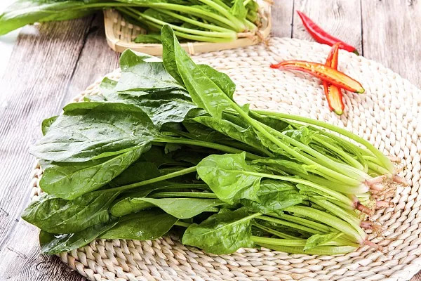 蔬菜安全概念如何区分